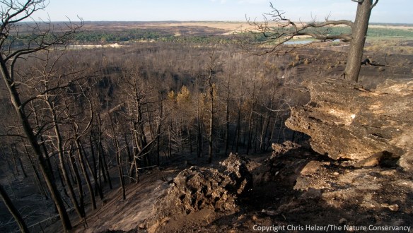 Aftermath of the 2012 Fairfield Creek Wildfire - The Nature Conservancy's Niobrara Valley Preserve.