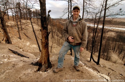 I'm smiling here, but as a prairie ecologist, I'm pretty far out of my element trying to help restore pine woodland.