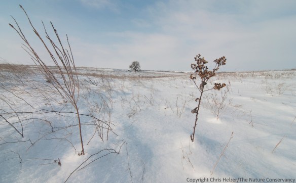 A welcome snowfall in late December will help replenish soil moisture, but it's still awfully dry.