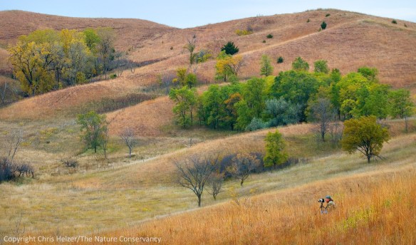 Conservation photography can be a lonely profession, but plays a critical role in conservation.  Ty Smedes at The Nature Conservancy's Broken Kettle Grasslands - Northwest Iowa.