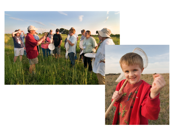 Look, we have GOT to make some changes. We desperately need naturalists with broad bases of experience who can help us study and assess plants and invertebrates. We need to know what we have so we can see if we’re winning. It’s up to all of us to broaden our own focus, but also to encourage others to do the same.