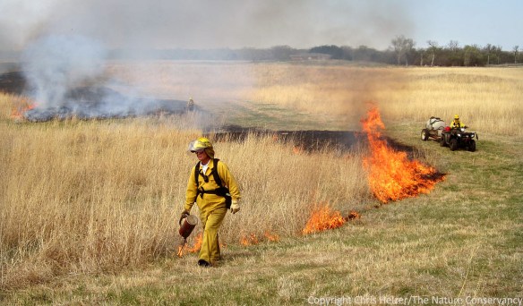 When burning in drought conditions, it's particularly important to be conservative. Extra wide firebreaks, larger crews, and strong contingency plans are all good ideas to consider.
