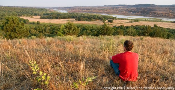 Here I am, thinking about all things I don't know about prairies.