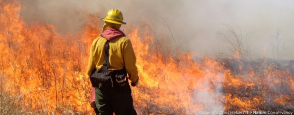 Prescribed is an important tool for prairie management, but how often should it be employed?