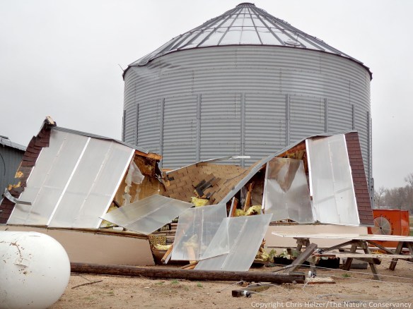 Our greenhouse was a total loss.
