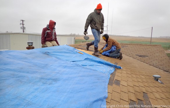 Stapling tarps to the roof of the crew quarters house at our shop facility.