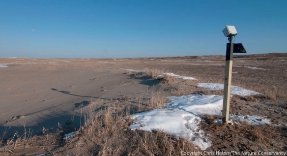 How fast will this sandhills blowout carve away recently-burned sand prairie? Our camera will help us find out. Based on previous experience with summer fires, we don't expect to see any significant increase in wind erosion, but this camera (combined with aerial photograph, and perhaps on-the-ground measurements) will allow us to test that assumption.