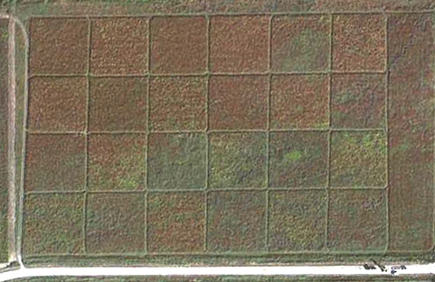 An aerial photo of our 2006 diversity research plots.  Each plot is 3/4 ac (1/3 ha) in size and is planted with either a high diverisity (100 species) or low diversity (15 species) seed mixture.