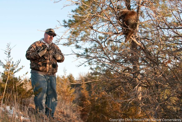 Here's David Weber conspiring with the porcupine. You can tell by the grin on his face how badly he feels for me.