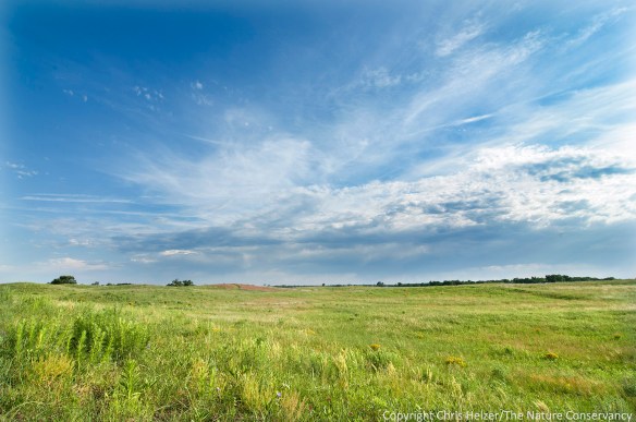 The wide open prairie along the Platte River is a big change from where both Eliza and Anne grew up.  They seem to be adapting just fine...