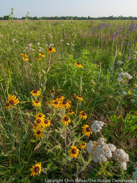 Instead of a wheat field in Russia, this is my work site.