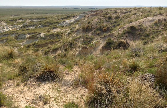 View of CPER HQ from top of bluff.  Photo by Anne Stine.