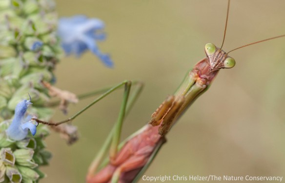 They sure are compelling little creatures, aren't they?