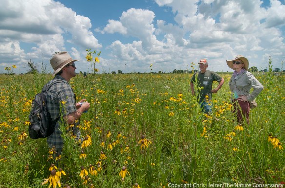 Informal discussion time, whether in the field or indoors, is often the most valuable part of any conference.  This conversation - during the 2013 Grassland Restoration Network - occurred during some free time on a field trip.