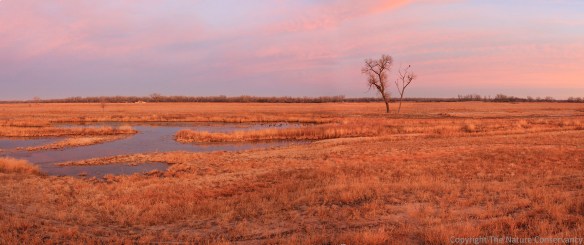 November 30, 2012. Clouds turn pink from post-sunset light on a late fall evening.