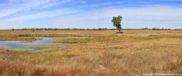 October 16, 2013. The groundwater level rose this fall after irrigation was over and we had some good rains in the area.
