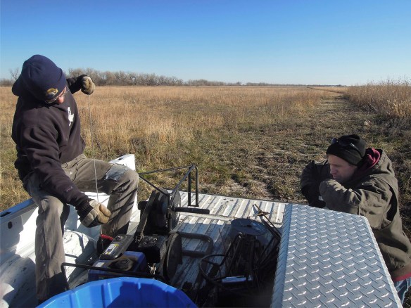 Pulling electric fence at the end of the season, using a motorized wire winder.