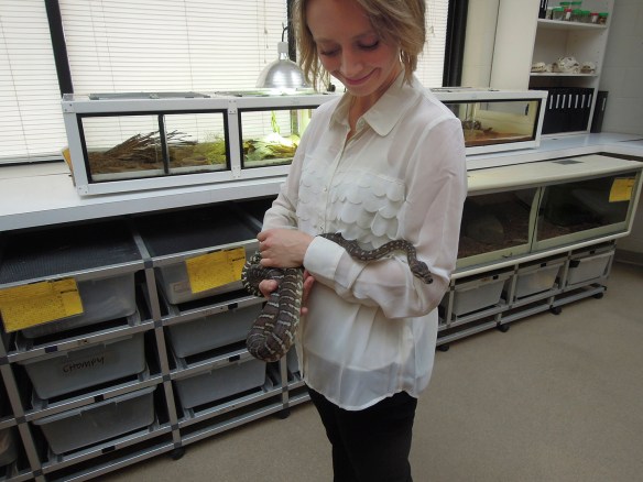 Anne makes a new friend.