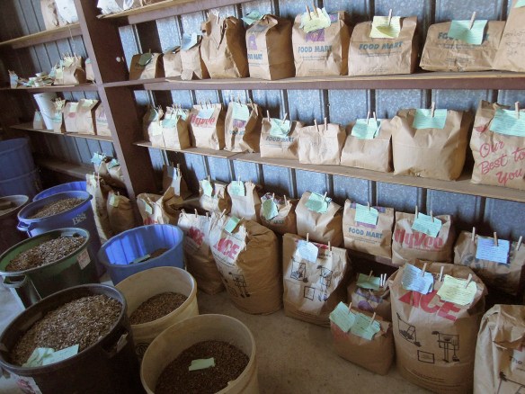 Shelves of processed seeds wait to be mixed and planted.