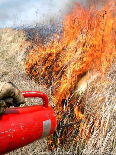 Prescribed fire is an important prairie management tool and shouldn't be blamed for contributing to climate change.
