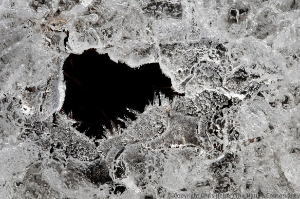 Patterns in ice.  Helzer prairie pond, near Stockham, Nebraska.