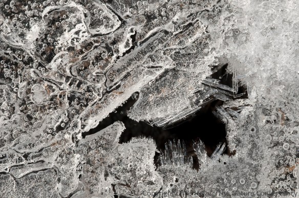 Patterns in ice.  Helzer prairie pond, near Stockham, Nebraska.