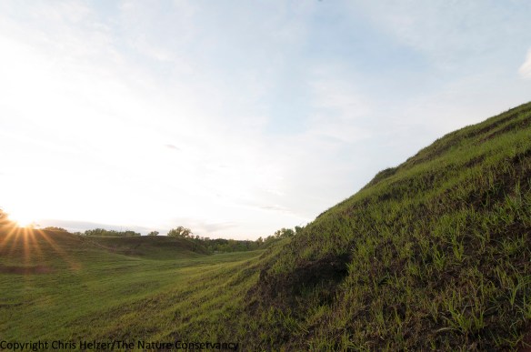 In this image, I set the camera so that the grass would be correctly exposed, knowing that the sky would be overexposed (too bright).  