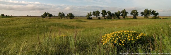 The Nature Conservancy's Platte River Prairies, Nebraska.