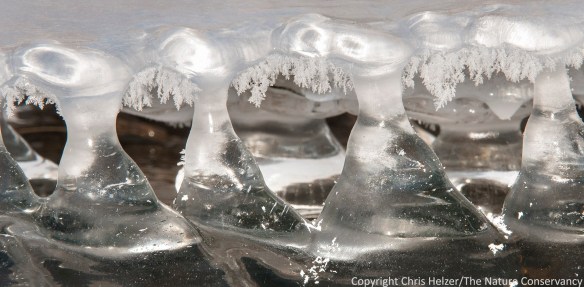 A close up of the columns.