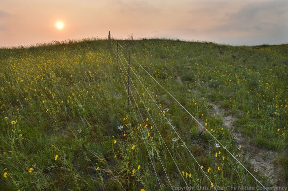 Sunrise on August 19, 2013. 
