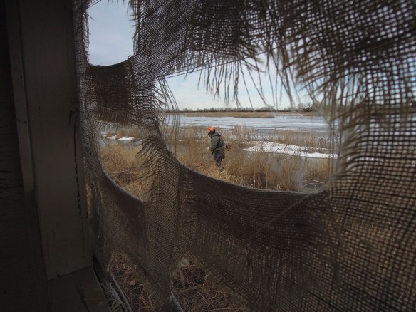 We used a beaver blade (weed whacker with a chainsaw chain on the bottom) to cut down the vegetation in front of the blinds. Photo by Eliza. 