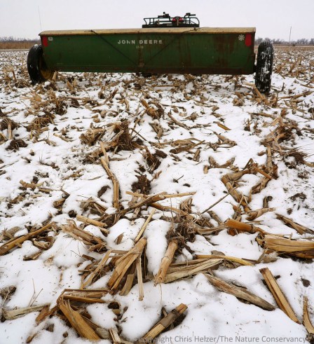 When we convert cropland to prairie, we just broadcast seeds on top of the ground, but ultimate establishment success depends upon soil microbes we usually don't even think about.