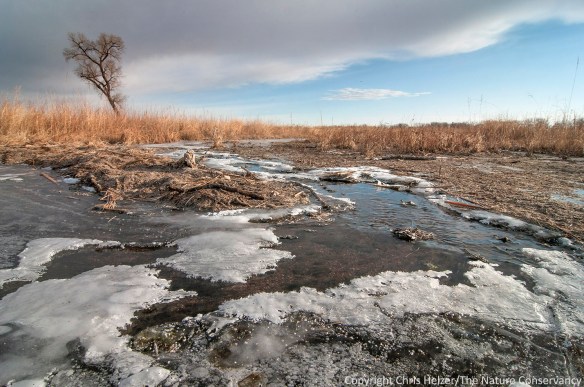 Water pours over a small beaver dam.