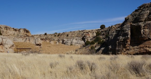Tumbleweeds- I wasn’t kidding about the 40 ft canyon full up with tumbleweeds. See the person leaving the picnic area? She said the weeds rolled like a wave with every gust.