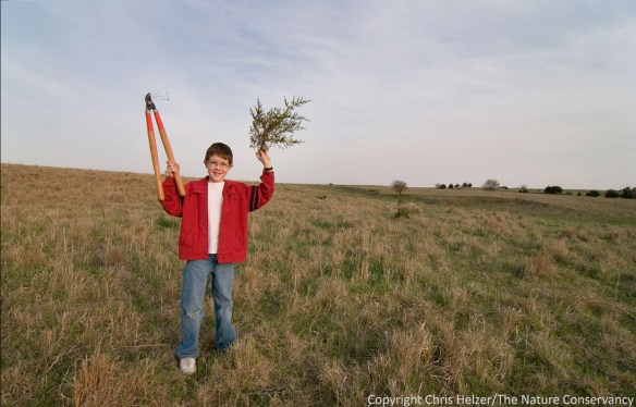 My son John, when he was 9, helping us clear cedar trees.