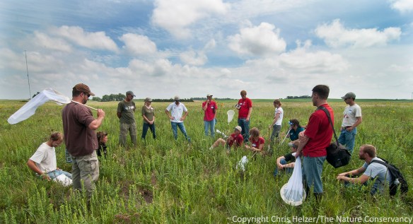Join fellow prairie enthusiasts and biologists for a fun day in the Platte River Prairies on June 13, 2014.