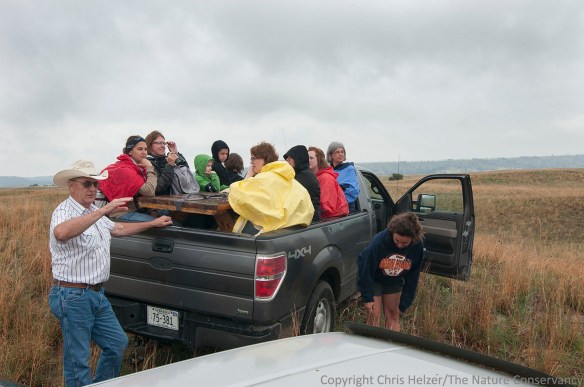Richard Egelhoff led a tour of the east bison pasture (10,000 acres).  A little light rain didn't stop us from having a great bounce through the sandhills, and we found the first group of bison about 5 minutes in.  
