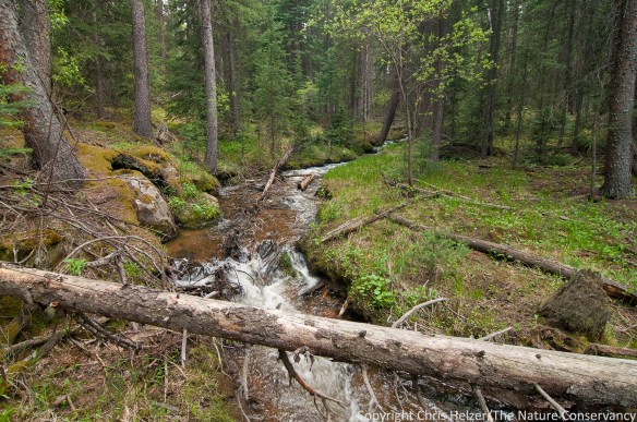 Rocky mountain stream.