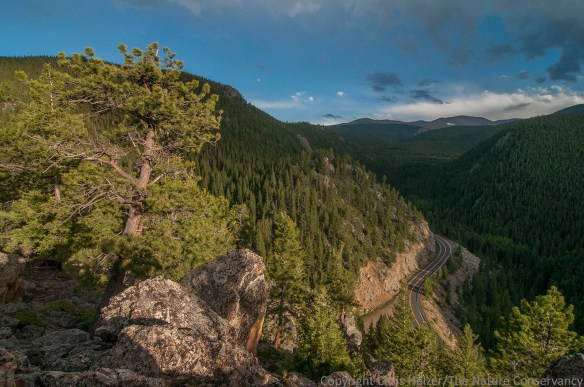 Boys and I climbed up a ridge one evening.