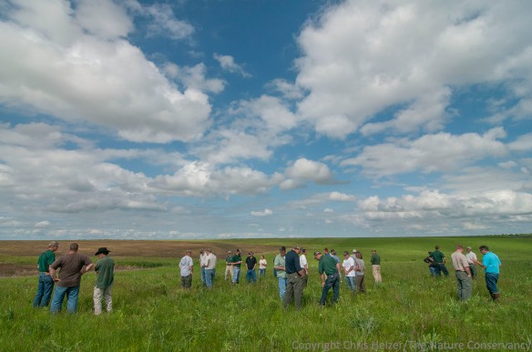 Staff of the Iowa Department of Natural Resources discuss conservation grazing at the Kellerton Wildlife Management Area in south-central Iowa.