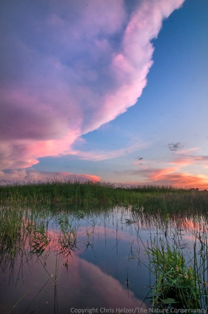 Last light at Springer.  