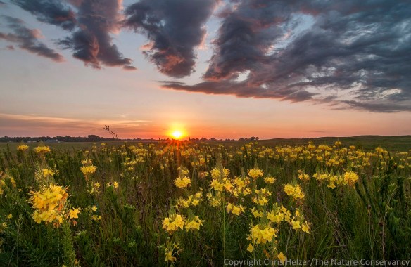 This photo was taken within just a few seconds of the one above.  Which do you like better?  This is Photo B.