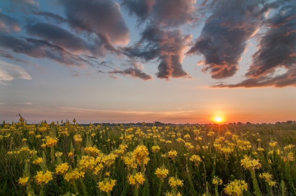 This is a photo I used as part my "Photo of the Week" series back on July 24.  I like it very much, but also like the next photo (below).  We'll call this Photo A.