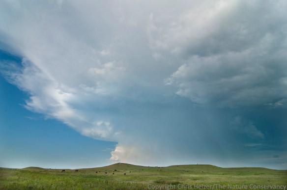 Earth, sky, and grass at Konza Prairie.