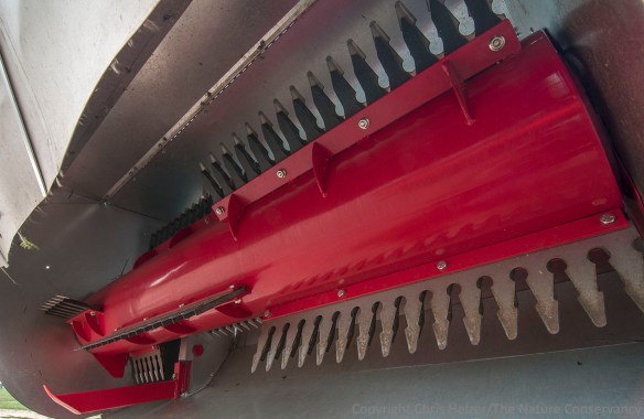 A close-up of the Shelbourne stripper elements included in Ned's new harvester design.