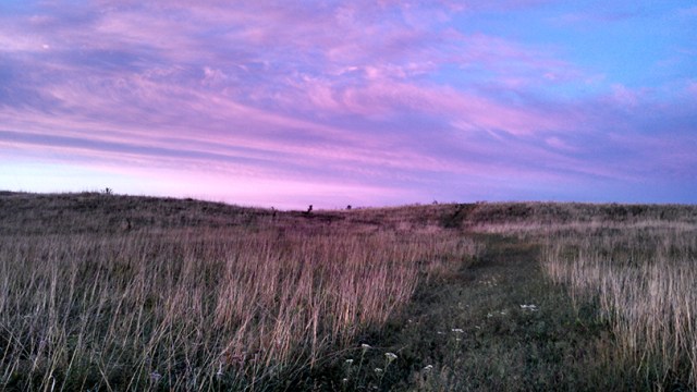 Colorful clouds over the prairie before sunrise.  Platte River Prairies. Photo by Kim Tri.