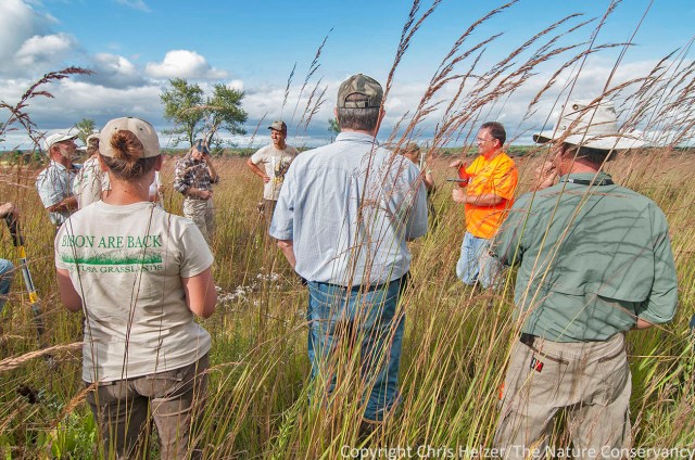 Mike Konen (in orange) from Northern Illinois University talks about soils during this year's workshop at Nachusa. He is standing in prairie that is going to be grazed by the newly introduced herd of bison. Grazing will give Bill and I one more thing to compare notes on...
