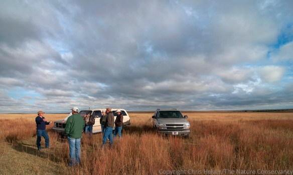 Matt Bain of the Conservancy, discusses grazing strategies with other biologists and neighbors.