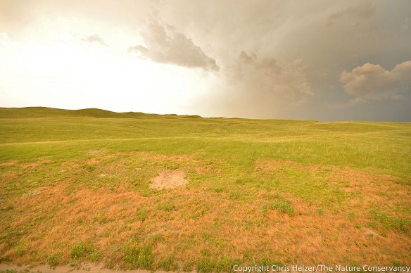 July 24, 2014.  9pm.