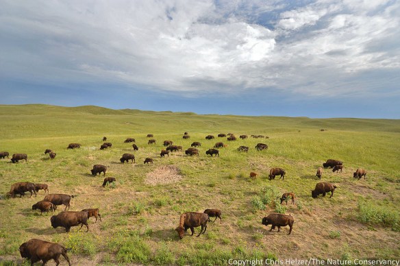 August 15, 2014.  9:30am.